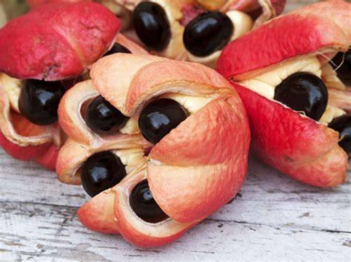 Are ackees good for you?