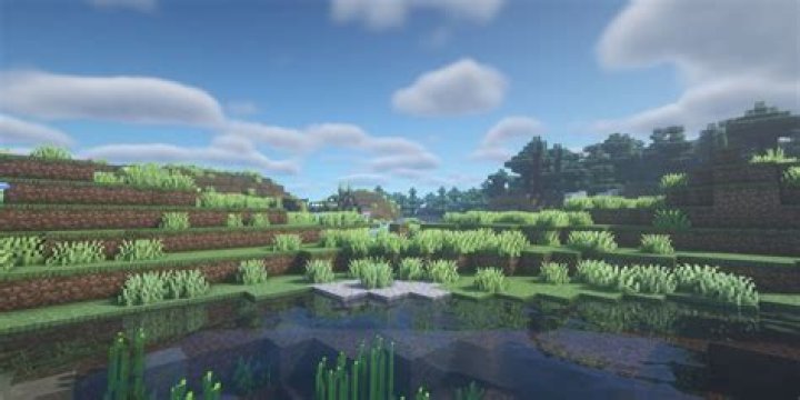 Are bsl shaders good?