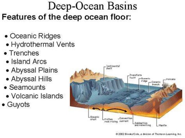 Are deep ocean basins?