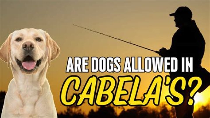 Are dogs allowed in cabela's?
