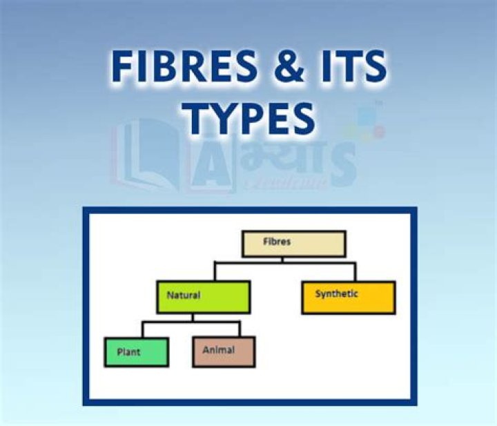 Are fibers classified or individualized?