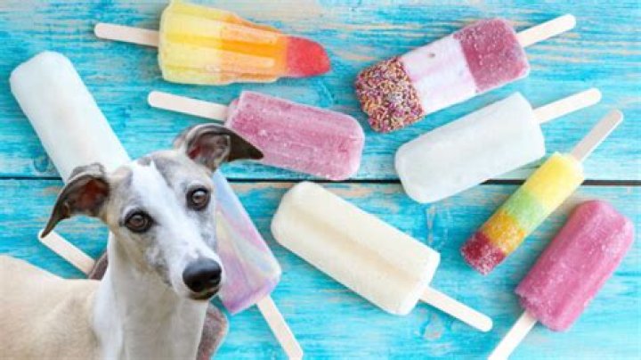 Are popsicles bad for dogs?