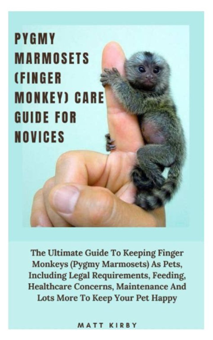 Are pygmy marmosets legal?