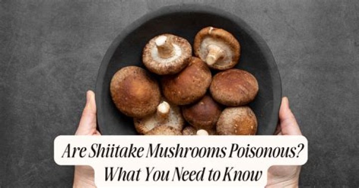 Are shiitake mushrooms poisonous?