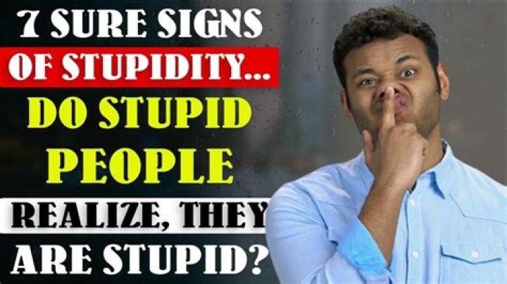 Are stupid and stupidity the same?