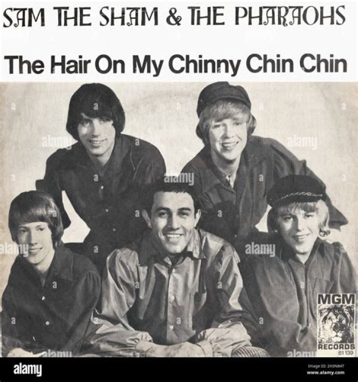 By the hair of my chinny?
