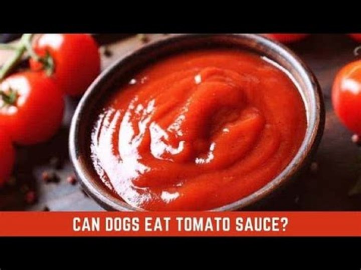 Can dogs eat paste?