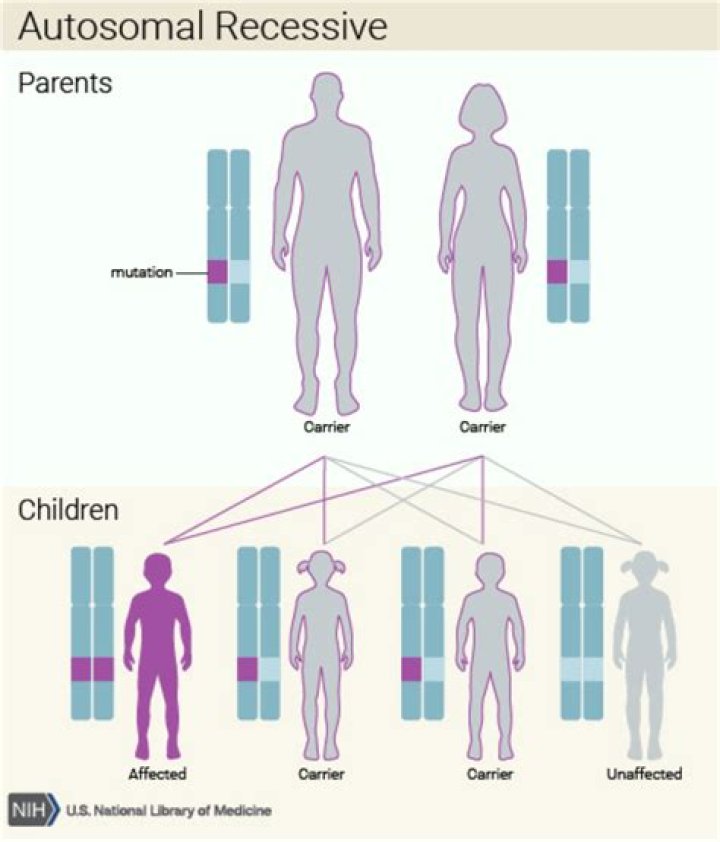 Can metachromatic leukodystrophy be inherited?