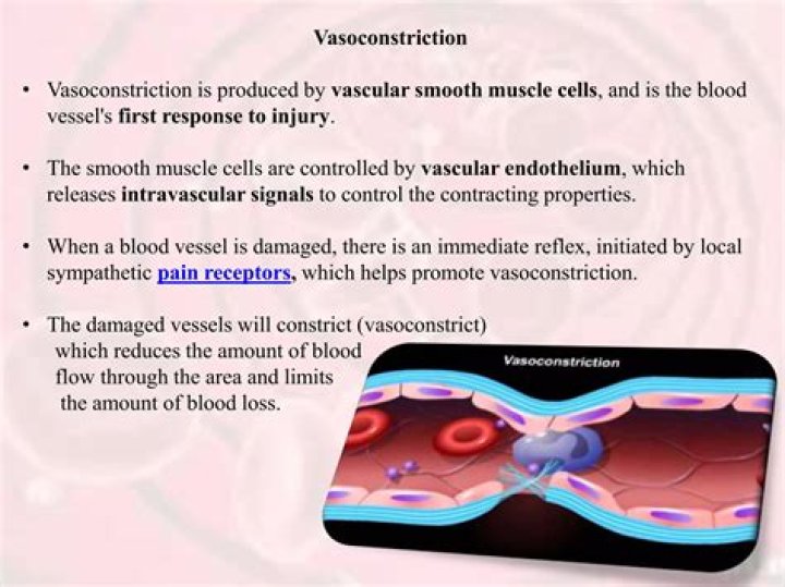 Can methergine cause prolonged peripheral vasoconstriction?