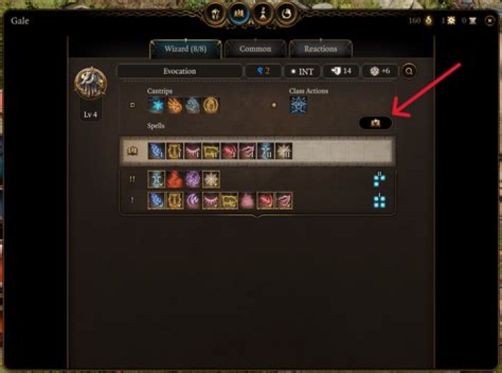 Can sorcerers ritual cast?