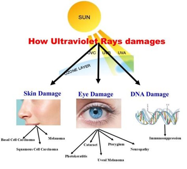 Can ultraviolet light cause mutations?
