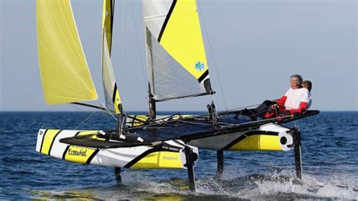 Can water skippers fly?