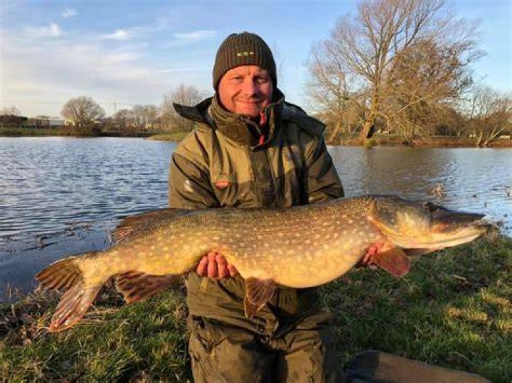 Can you fish at ringwood lake?
