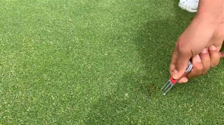 Can you fix a divot in your putting line?