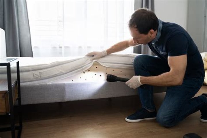 Can you starve bed bugs?