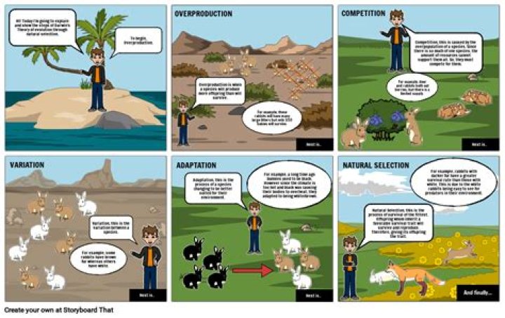 Could evolution occur without natural selection?