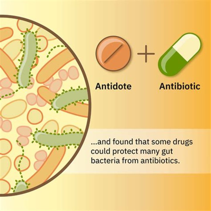 Do antibiotics make you susceptible colds?