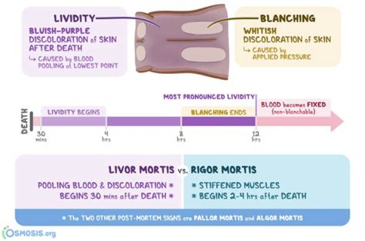 Do dogs get rigor mortis?
