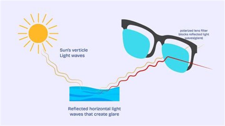 Do eyelids block uv rays?