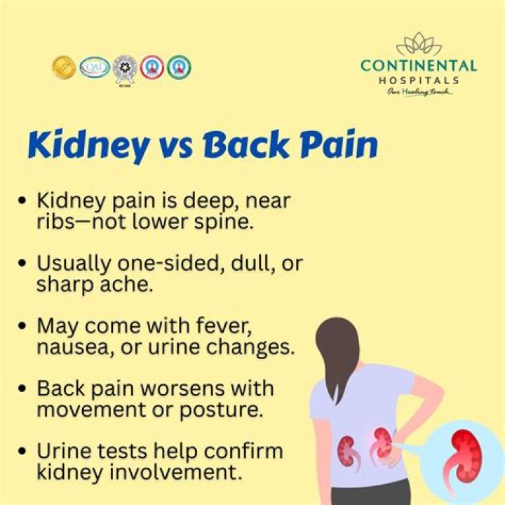 Do kidney stones cause back pain?