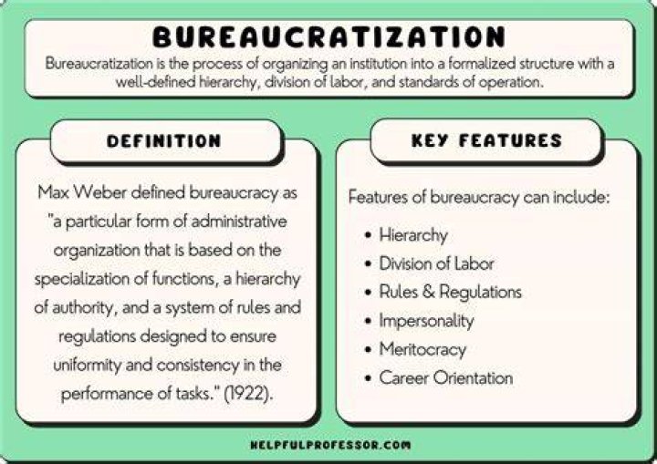 Does a bureaucrat do?
