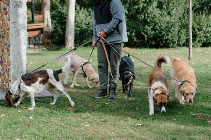 Does arroyo seco allow dogs?