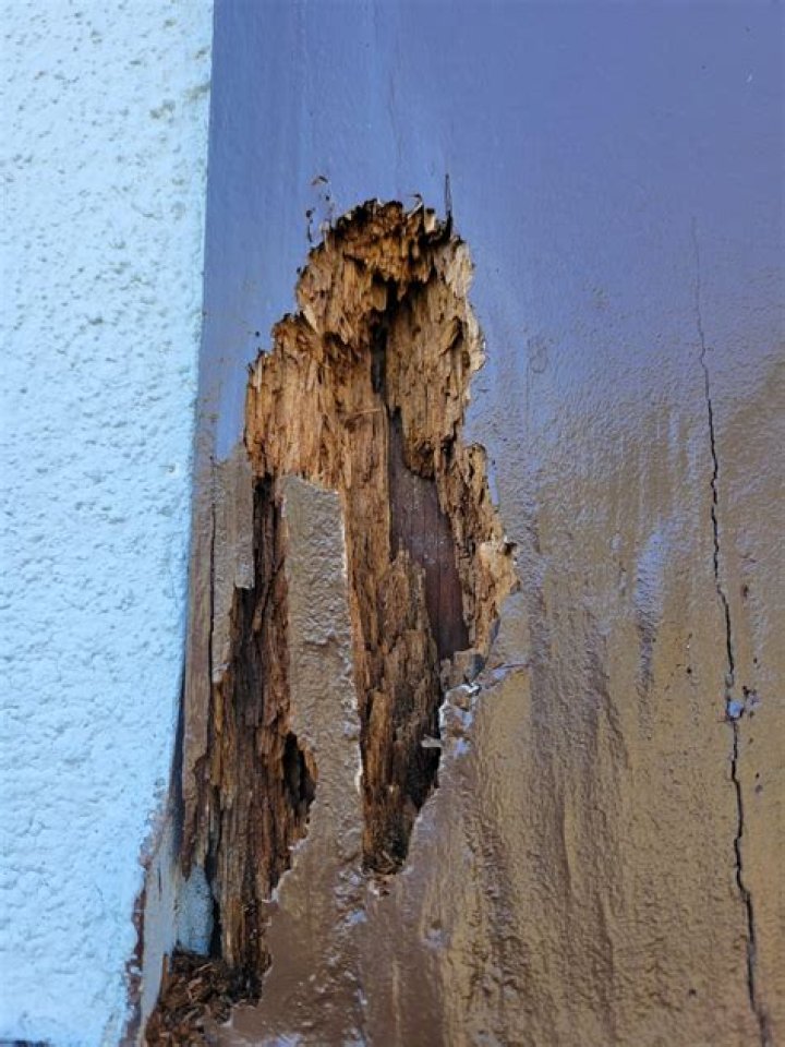 Does burn affect facade?