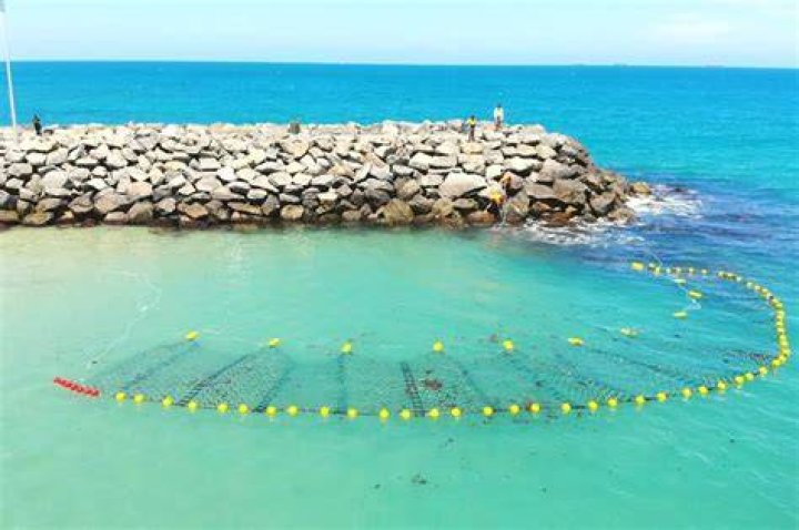Does cottesloe beach have shark nets?