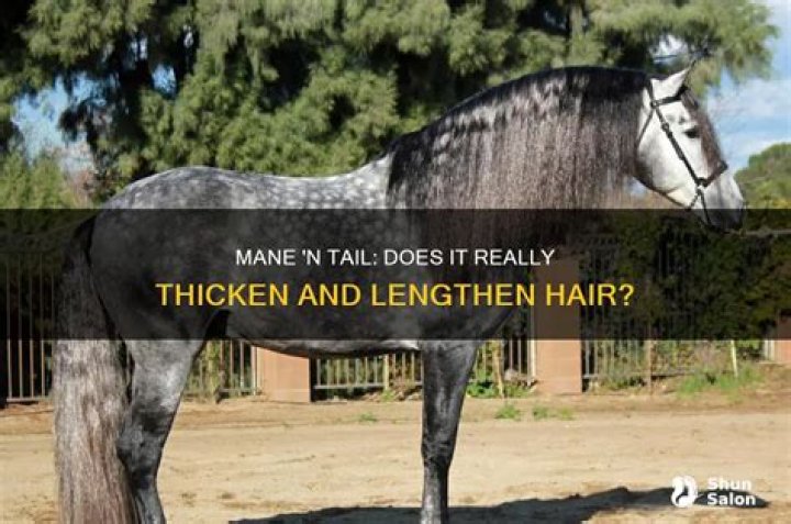 Does mane and tail make hair thicker?