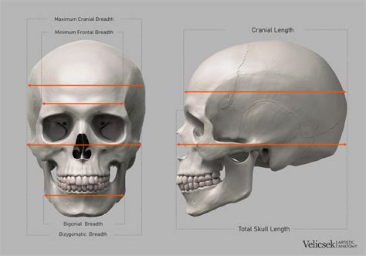 Does skull cap get you high?