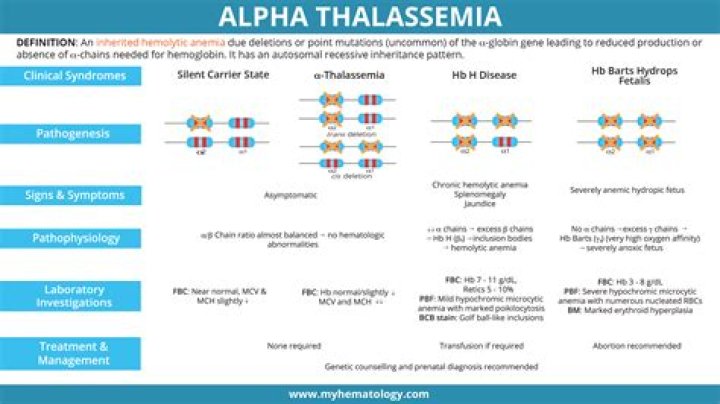 Does thalassemia cause gout?