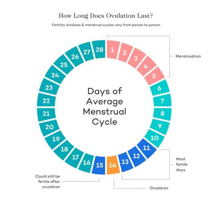 During ovulation can someone get pregnant?
