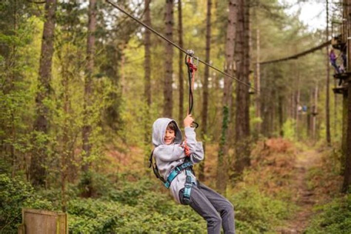 Has anyone died at go ape?