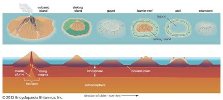 How are seamounts and islands similar?