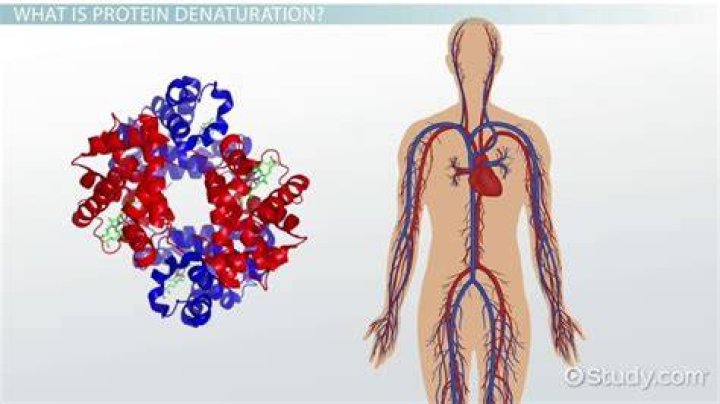How does denaturation denature proteins?