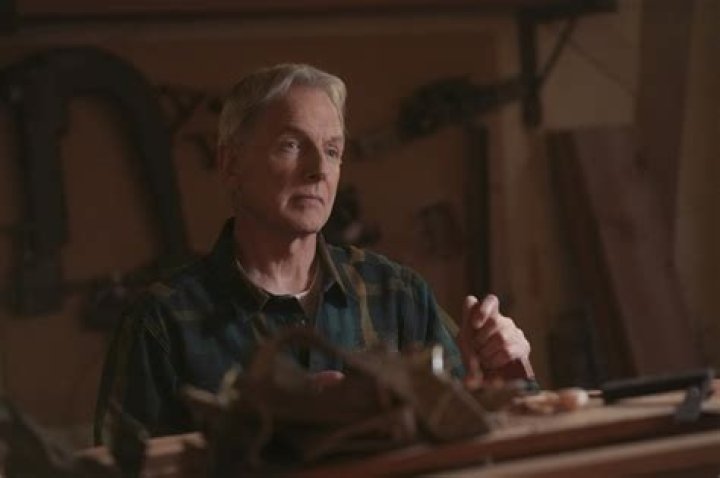 How gibbs met ducky?