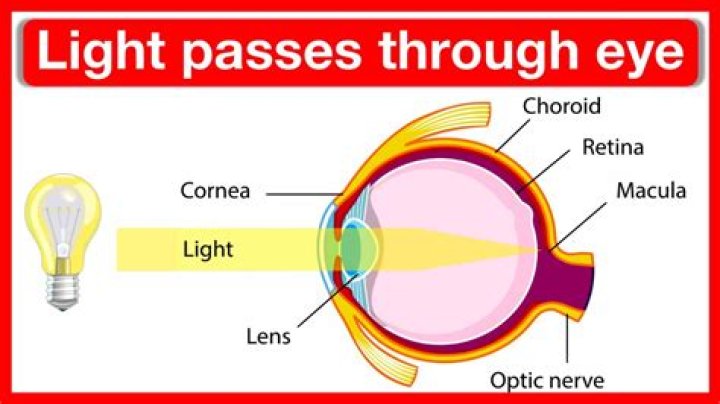 How is an image seen through the eye?