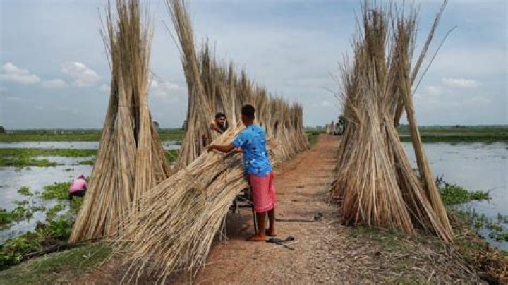How many subdivision in north 24 parganas?
