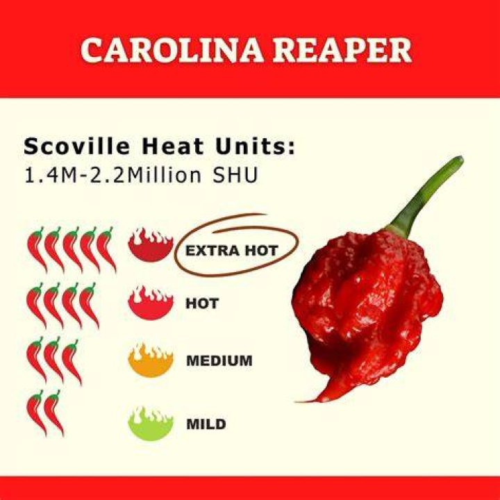 How much is a carolina reaper?
