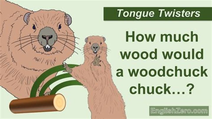 How much wood could a woodchuck chuck answer?