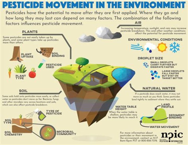 How pesticides affect the environment?