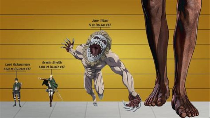 How tall are titans?
