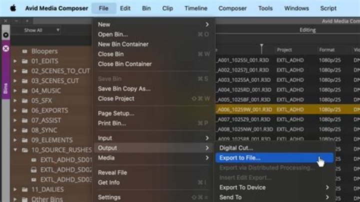 How to conform on avid?
