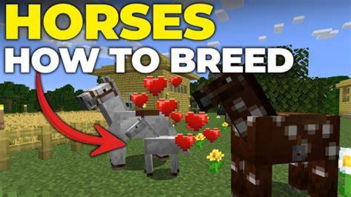 How to keep horse well fed rdr2?