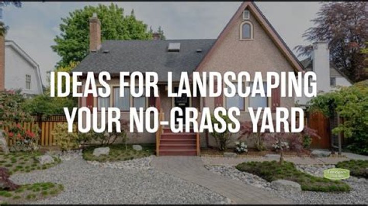 How to make a backyard without grass?