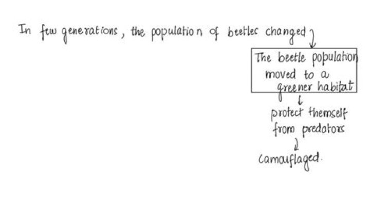 In a few generations this population of beetles changed?
