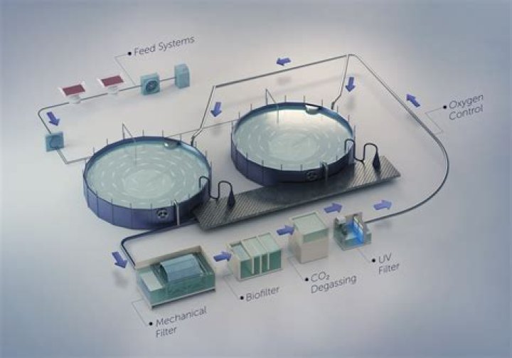 In recirculating aquaculture systems?