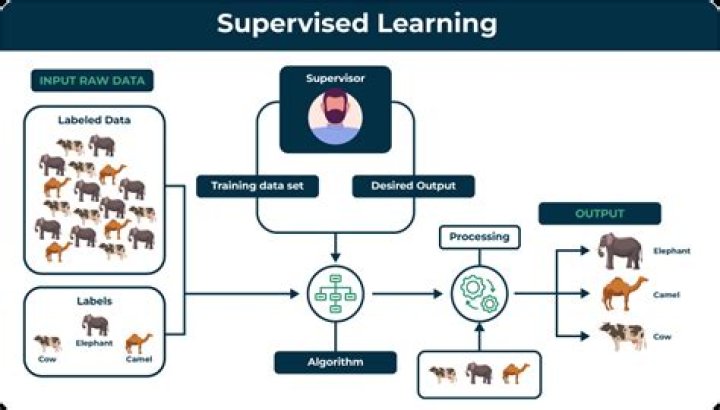 In supervised learning classes are predefined?