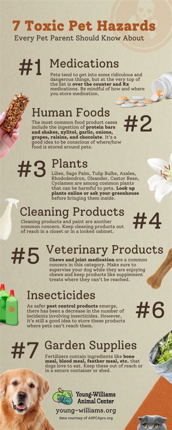 Is agaves toxic to dogs?
