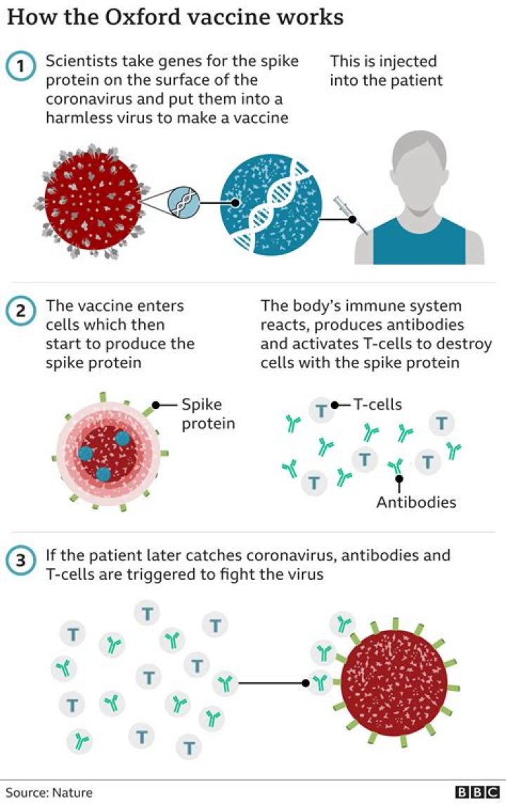 Is astrazeneca vaccine live or inactivated?